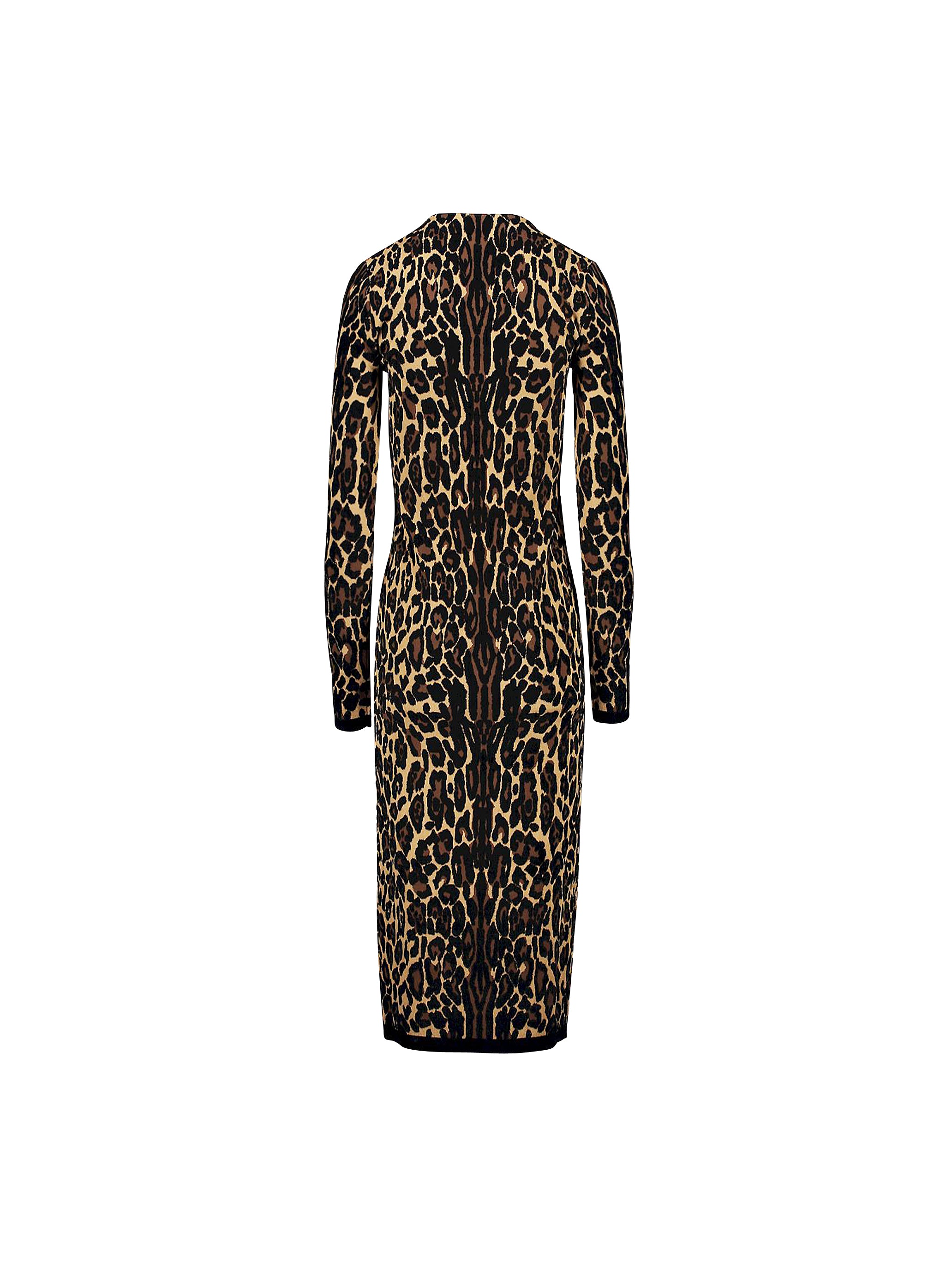 Delotta Dress